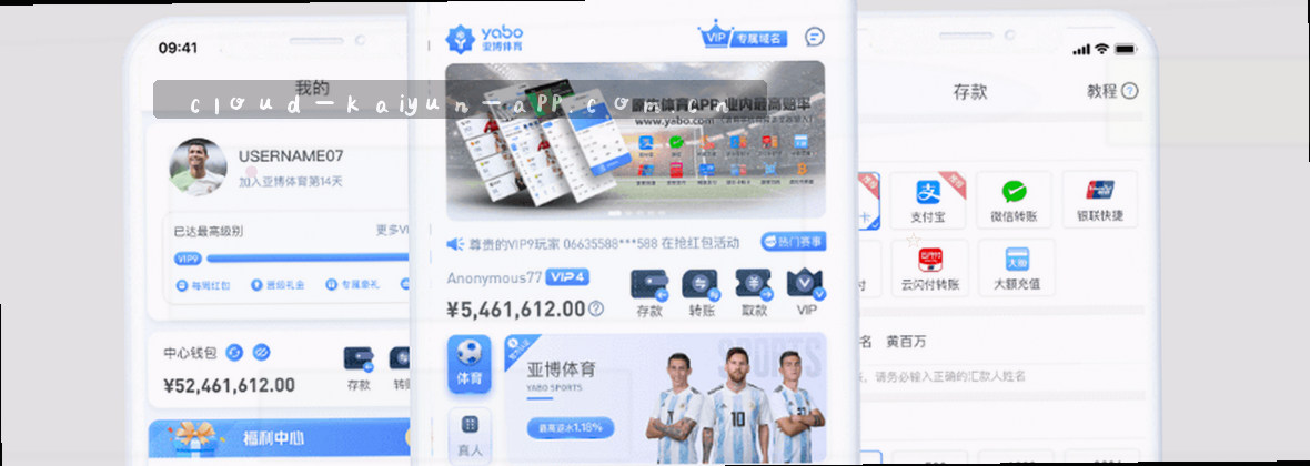 开云焕新版：一站式登录，畅享多元服务